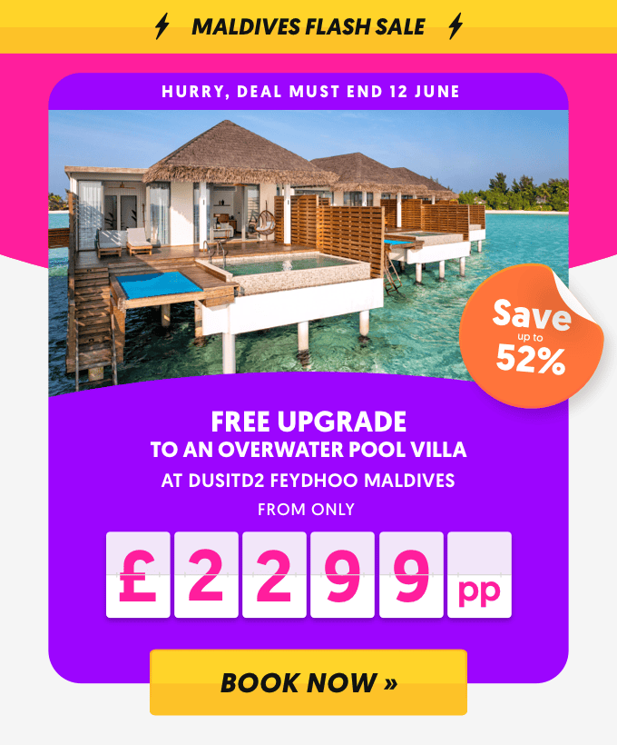 dusitD2 Flash Sale
