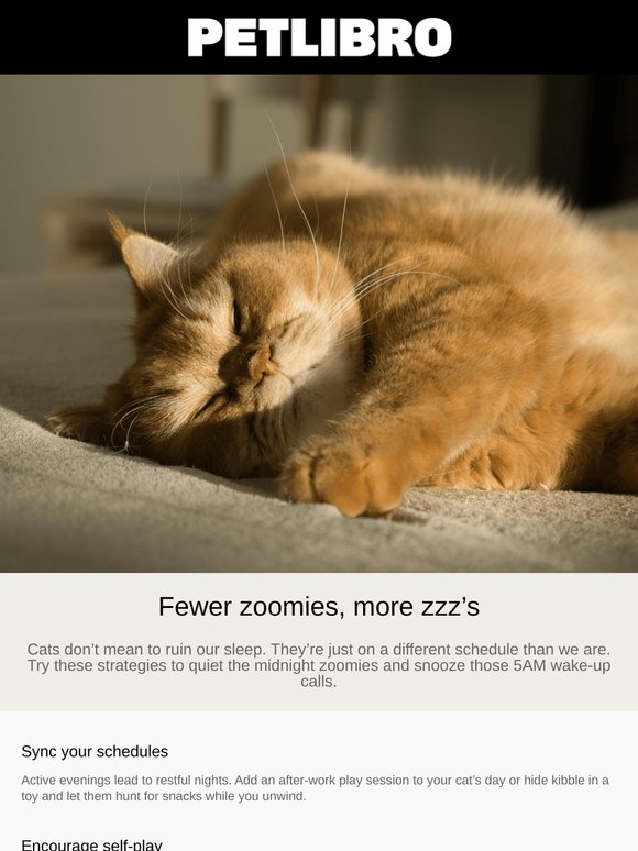 Is your cat ruining your sleep? 🥱