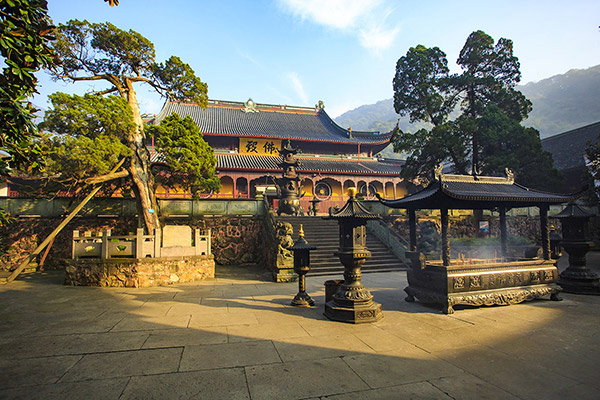 A knarled tree, supported by a large timber, grows in front of a temple illuminated by slanting sunlight.
