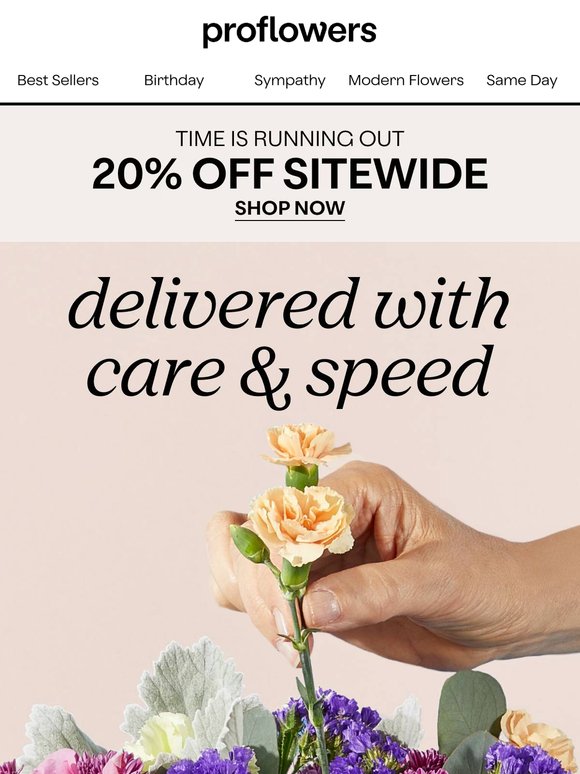 20% Off Beautiful Summer Blooms! Shop Today