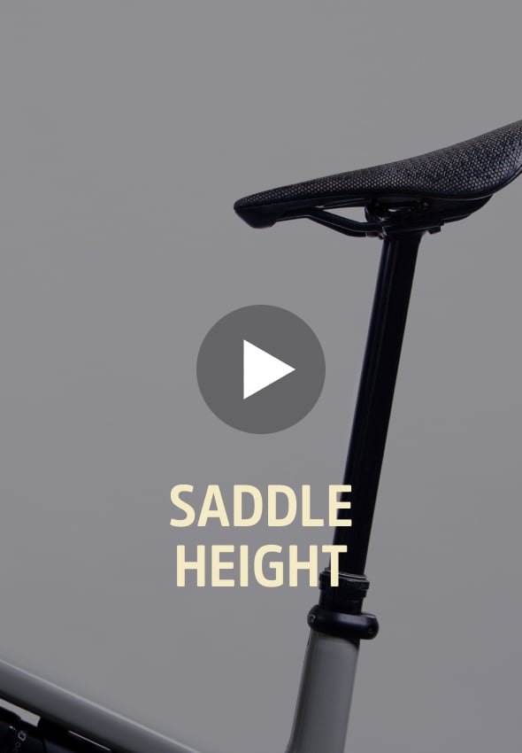 Saddle Height