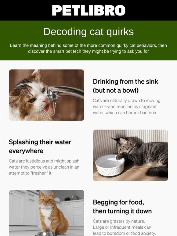Psst…Your cat is trying to tell you something