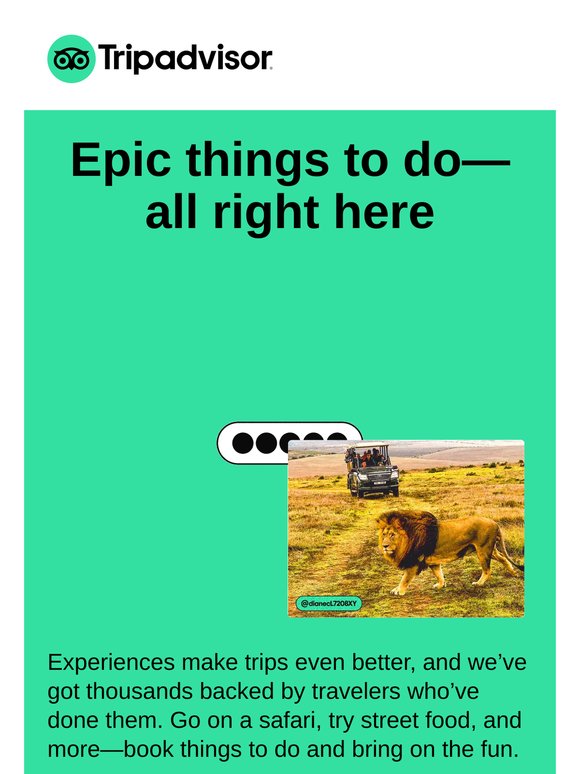Fill your trip with incredible experiences