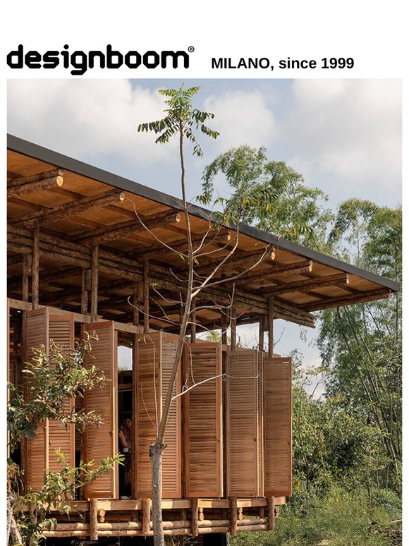 designboom daily