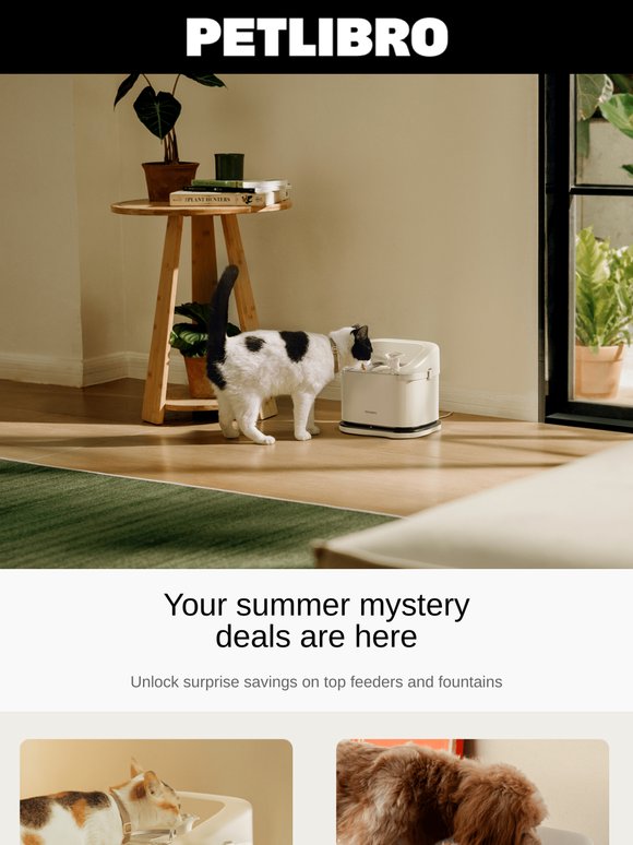 Pssst… summer mystery deals are inside