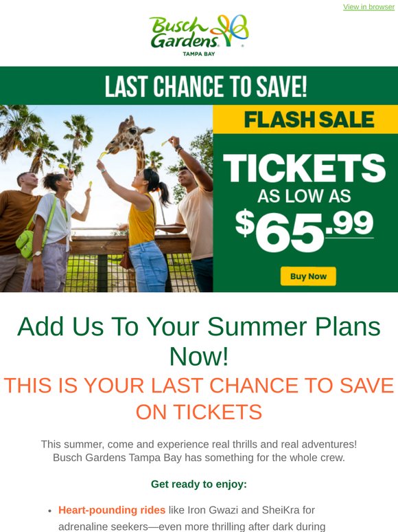 🎟️ LAST CHANCE! Get Tickets as Low as $65.99