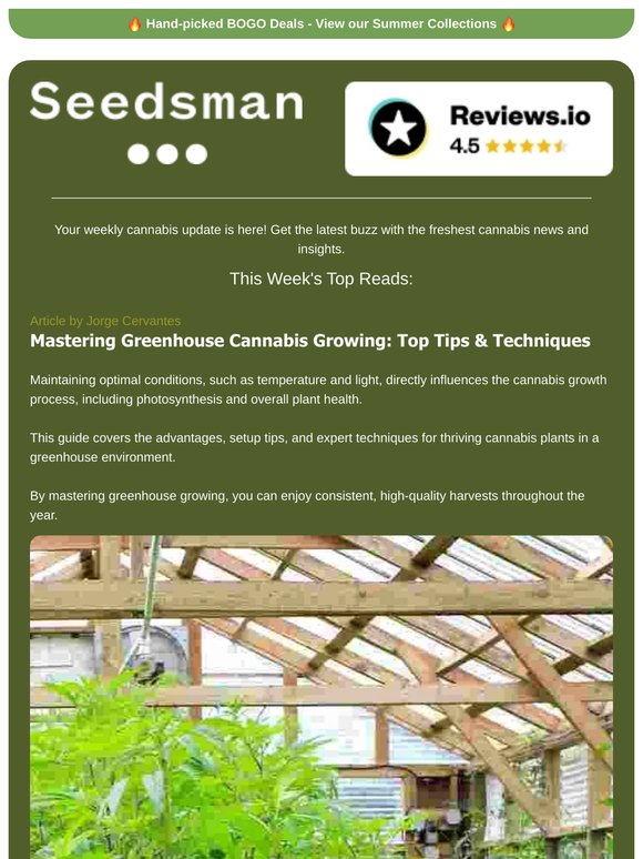 📬 Weekly Newsletter 📬