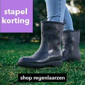 https://www.scapino.nl/c/buiten/schoenen/regenlaarzen/?fk_uitgelicht=Pinksteren