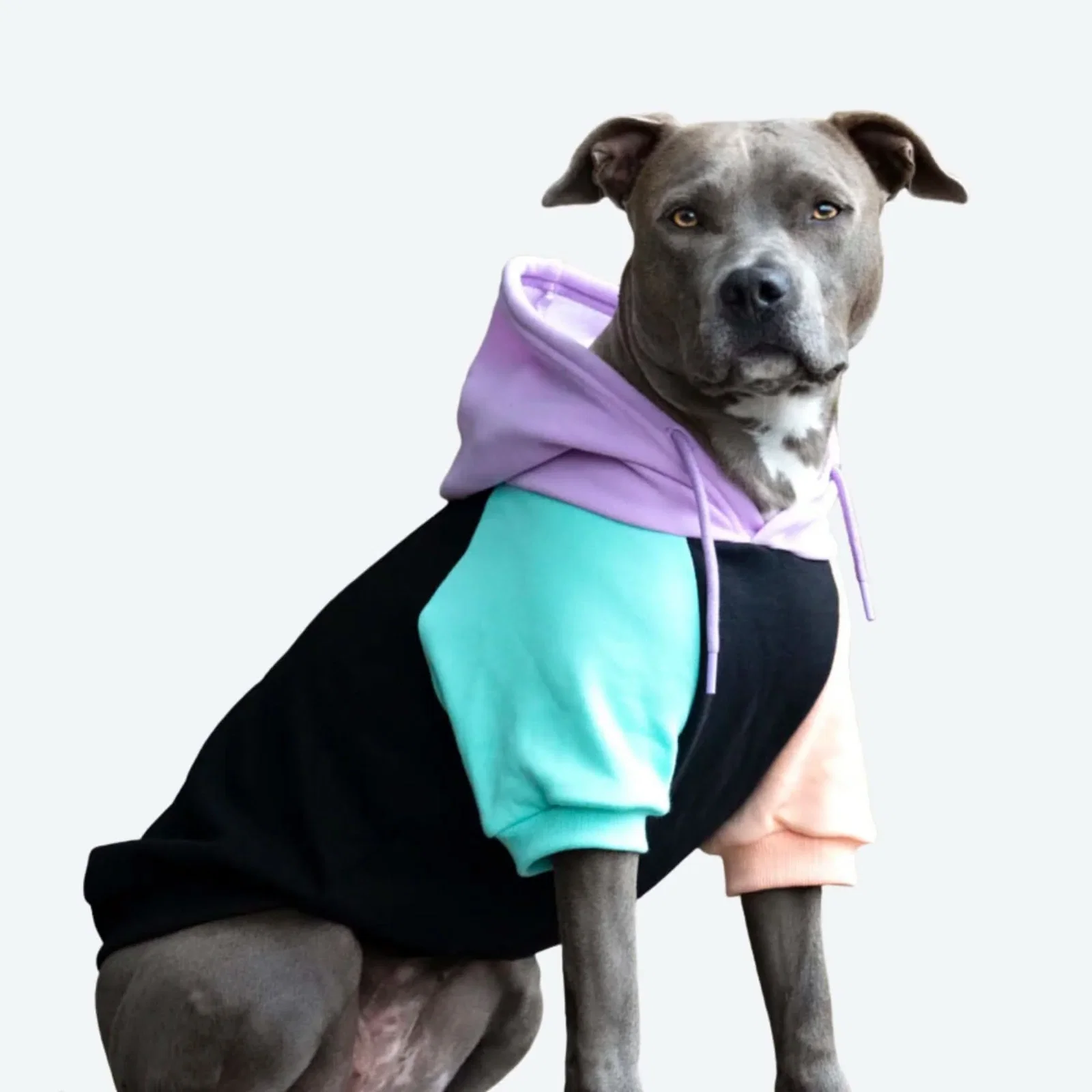 Image of Color Block Dog Hoodies