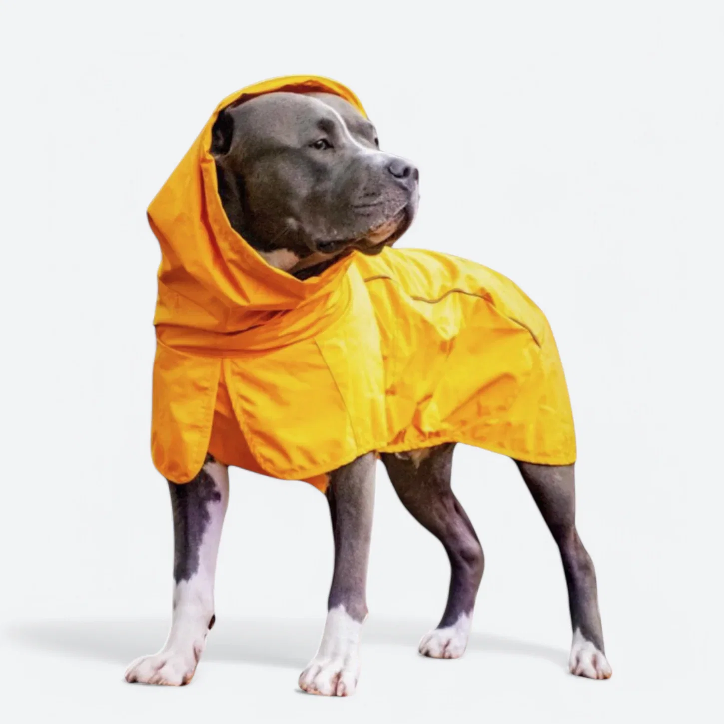 Image of Breatheshield™ Dog Raincoats