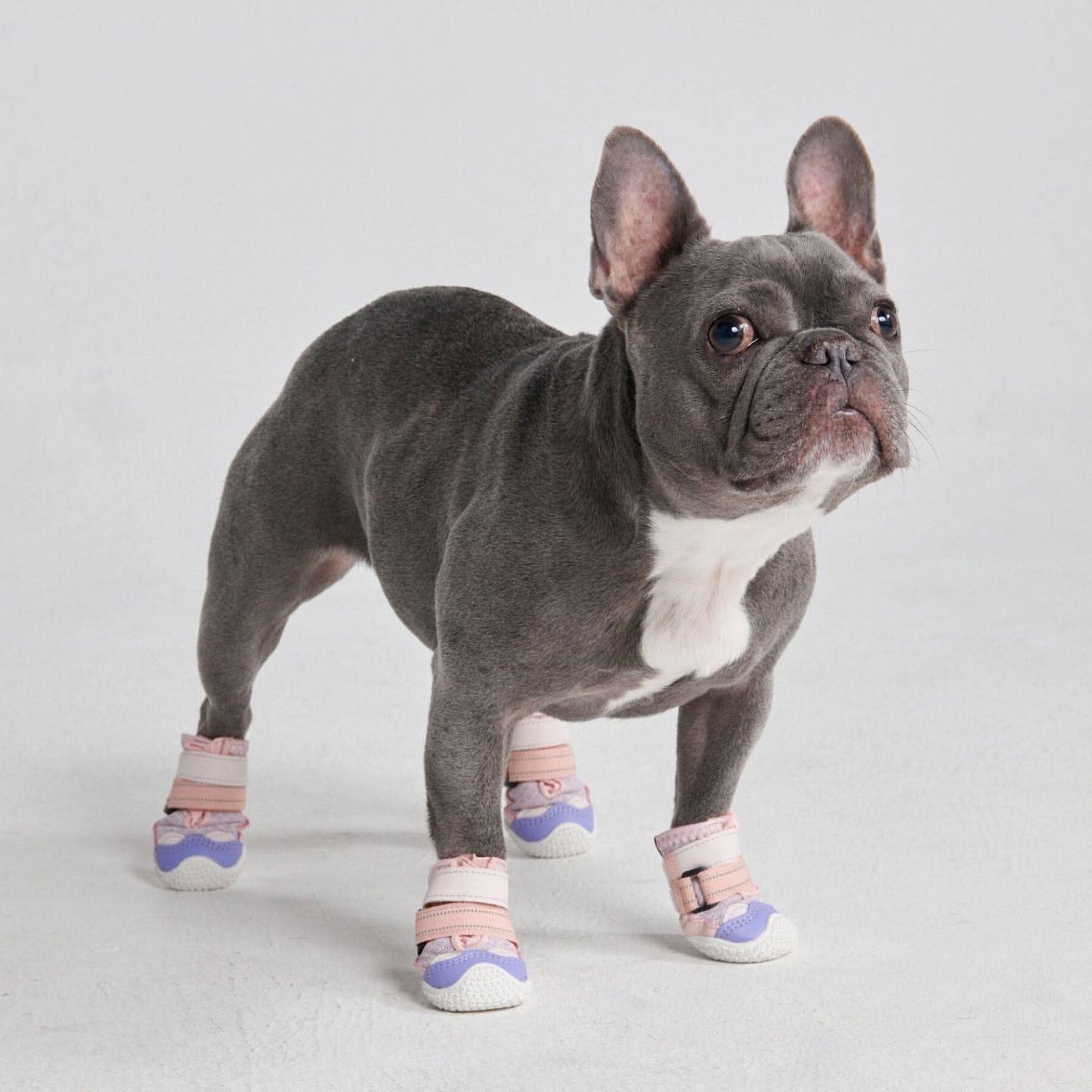 Image of Hot Pavement Pawtector Dog Shoes