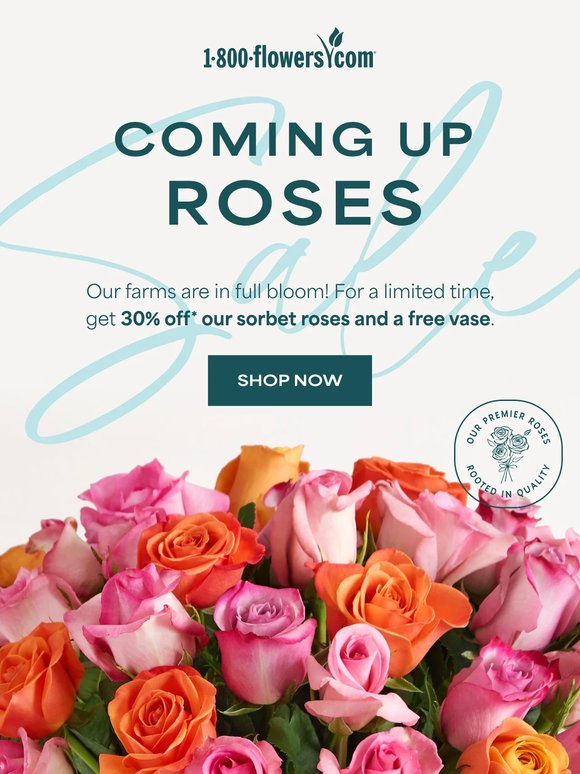 We know roses—now you get 30% off 🌹