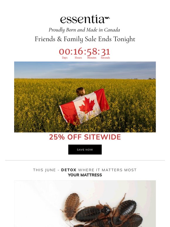 Final Call: Save Big with 25% Off - Ends Tonight ⏰