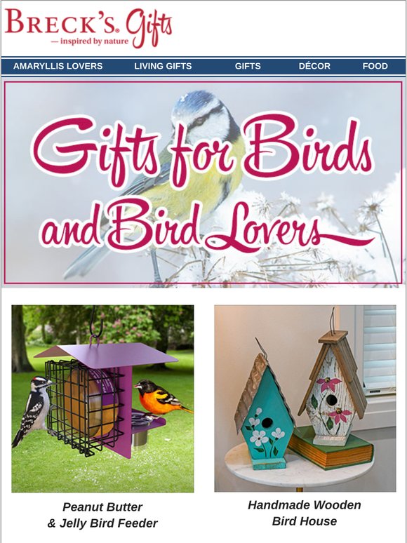 A 5-Star Stay for Your Feathered Friends