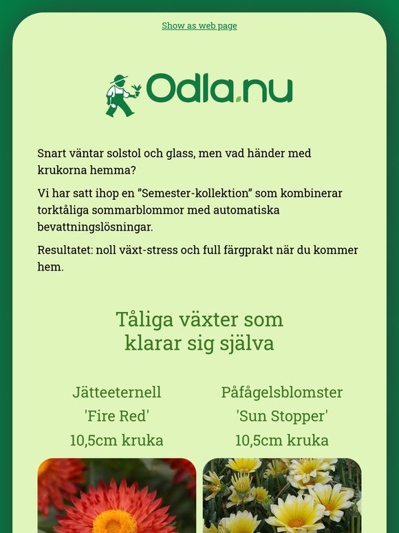 Ska du åka på semester på sommaren? 😎