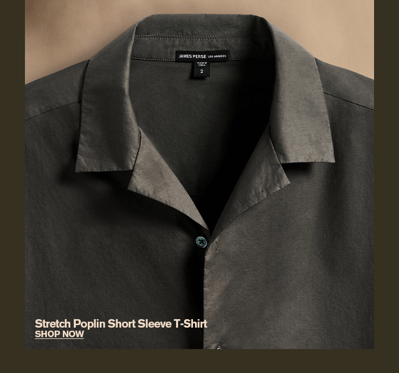 MEN'S SHIRTING