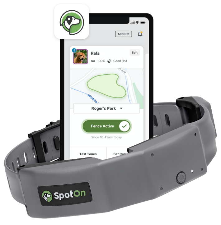 SpotOn collar and app.