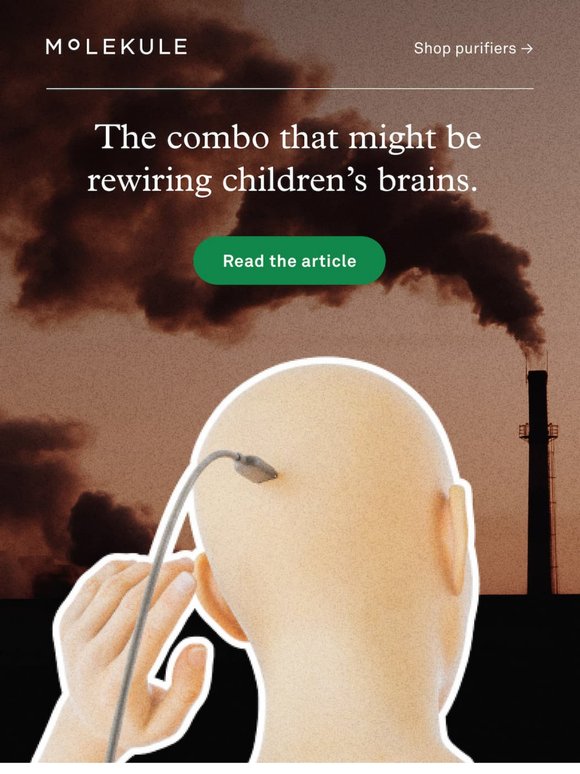 How Air Pollution Rewires a Child’s Brain