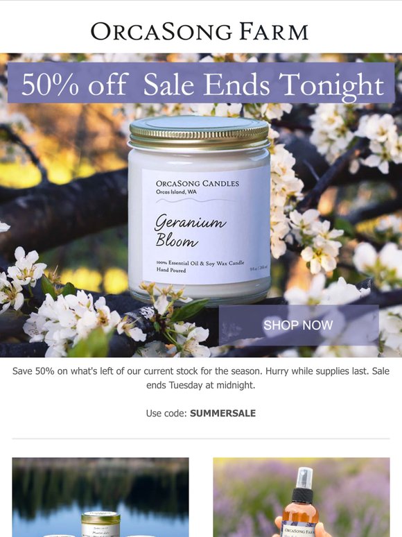Last Chance to Shop the Sale