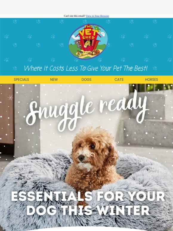 Winter's Is Here — Is Your Dog Ready? ❄️