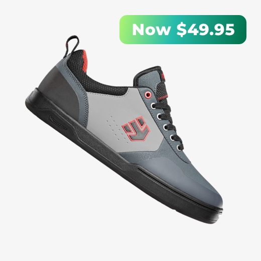 Image of Etnies shoe on a grey background