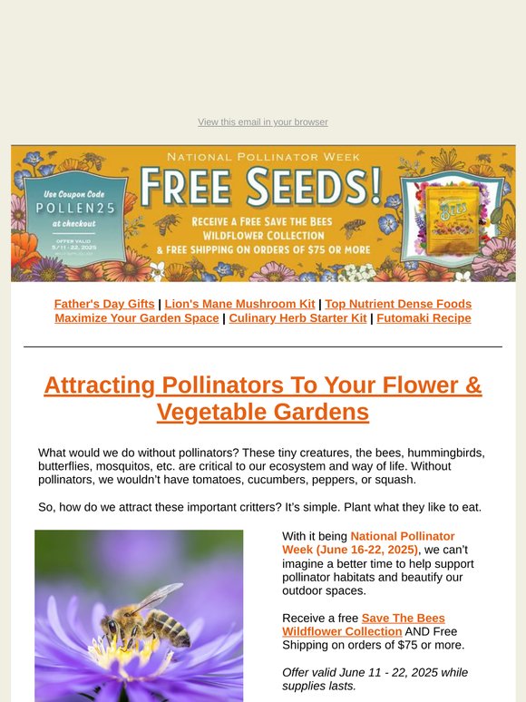 Pollinator Week Special: Free Seeds & Shipping On Orders $75+ | TLM Newsletter