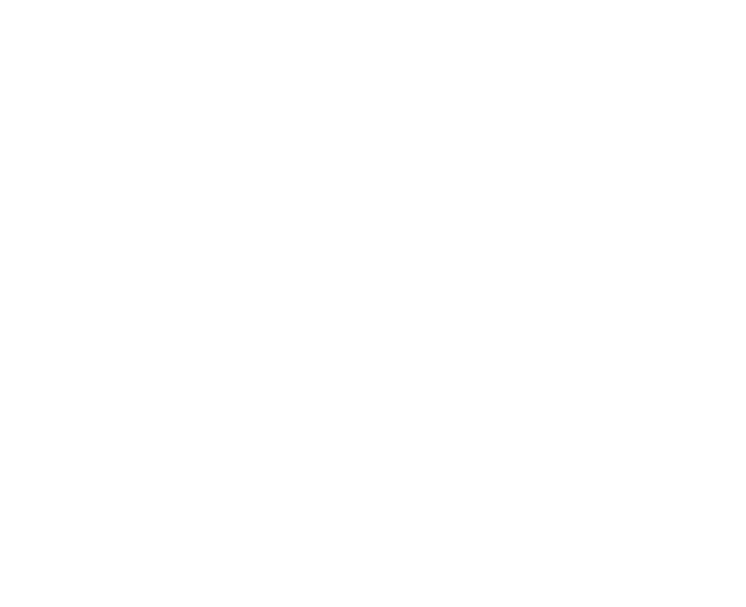 BLACKOVIS FOOTER LOGO