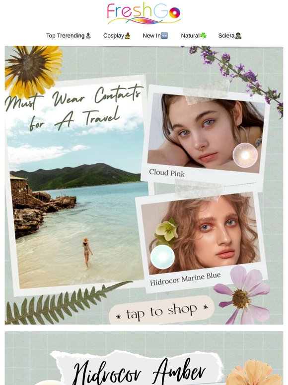 🌻Essential Travel Connects: Your Go-To Contacts