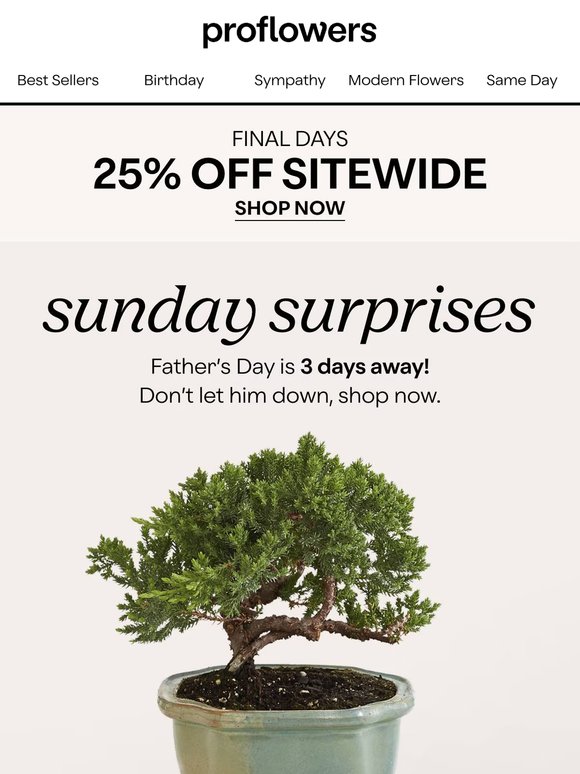 Time is Ticking By! Order Your Father’s Day Gifts 25% Off