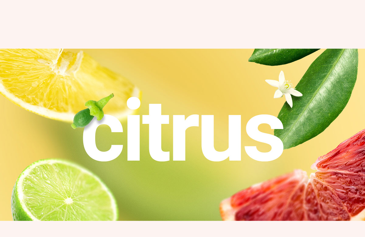 Miris ljeta? Definitivno citrus!