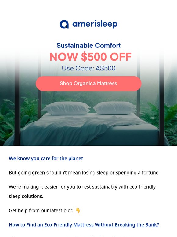 Searching for Eco-Friendly Sleeping options? Find here 👇