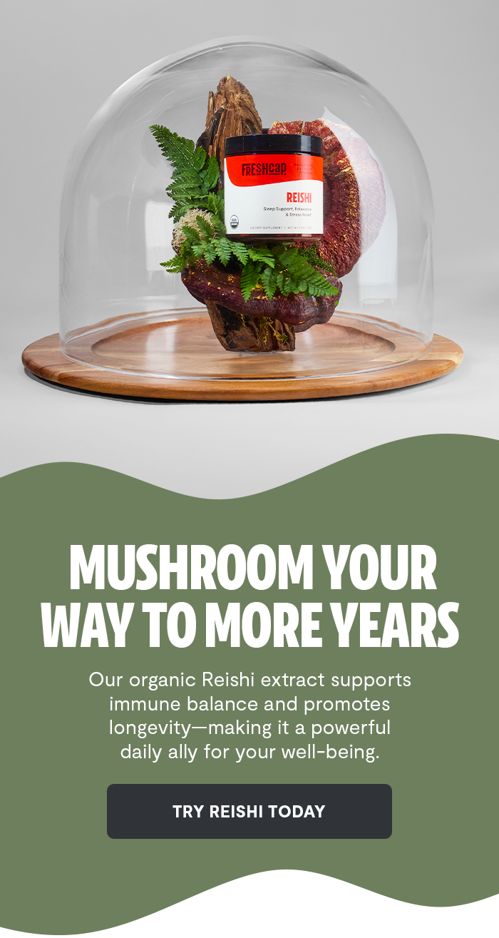 A Friendly Guide to Reishi Mushroom