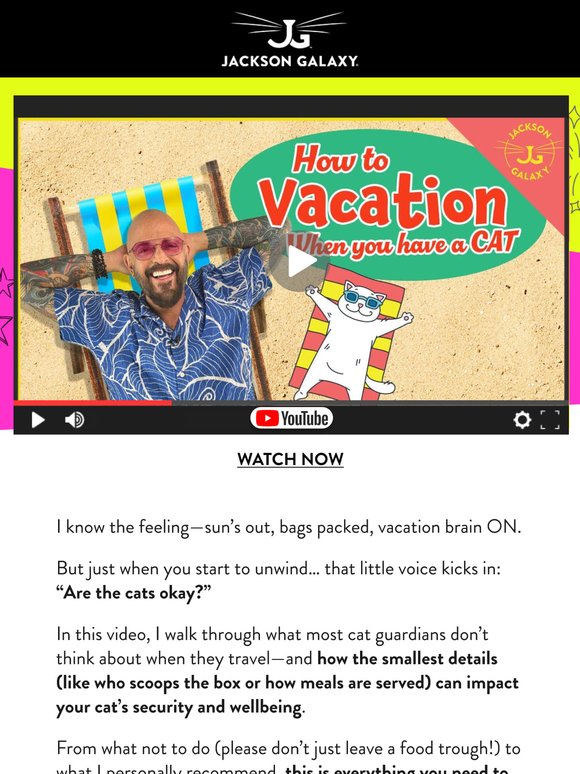 How to Prep for Your Cat When You Go on Vacation 🏖 ️