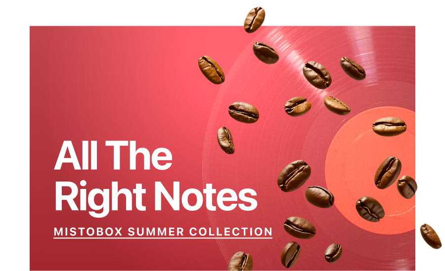 All The Right Notes. Mistobox Summer Collection.