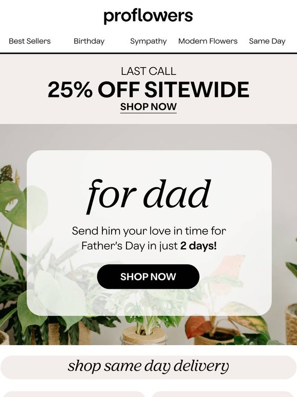 Last Chance to Save - 25% Off Father’s Day Flower & Baskets!