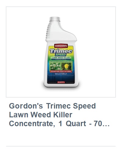 View product recommended for you