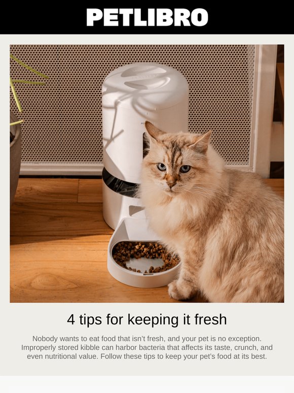 Have you been storing kibble all wrong?