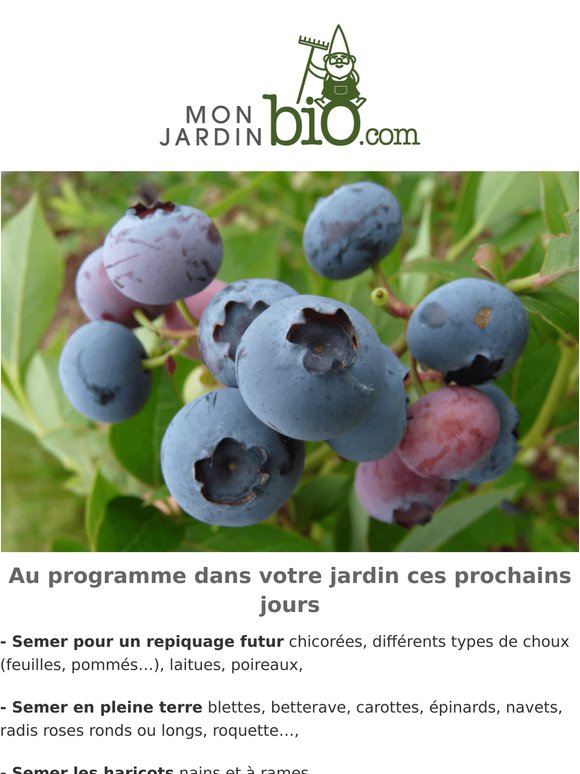 On déstocke encore ! -25 % sur nos petits fruits 🫐