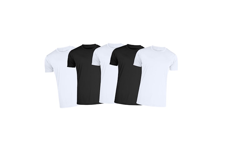 T-shirt herr 100% bomull, 5-pack