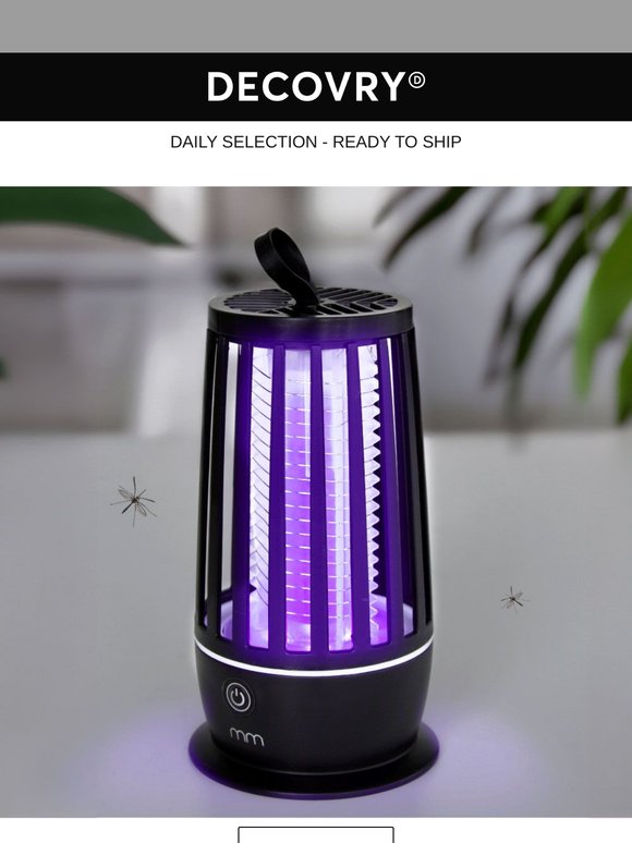 Hot Days, Buzz-Free Nights – Bye Bye Mosquitoes!