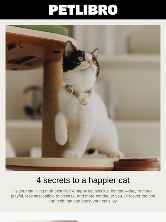 🐈‍⬛ 4 pet-parent secrets to a happier cat