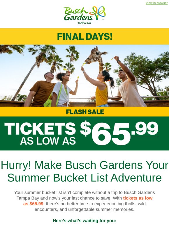 ⏳ Final Days! Get Tickets as Low as $65.99