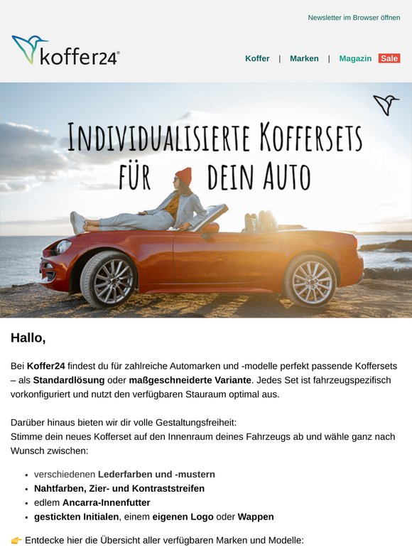 Passende Koffersets für dein Auto 🚗