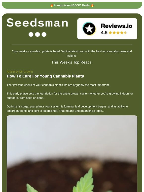 📬 Weekly Newsletter 📬