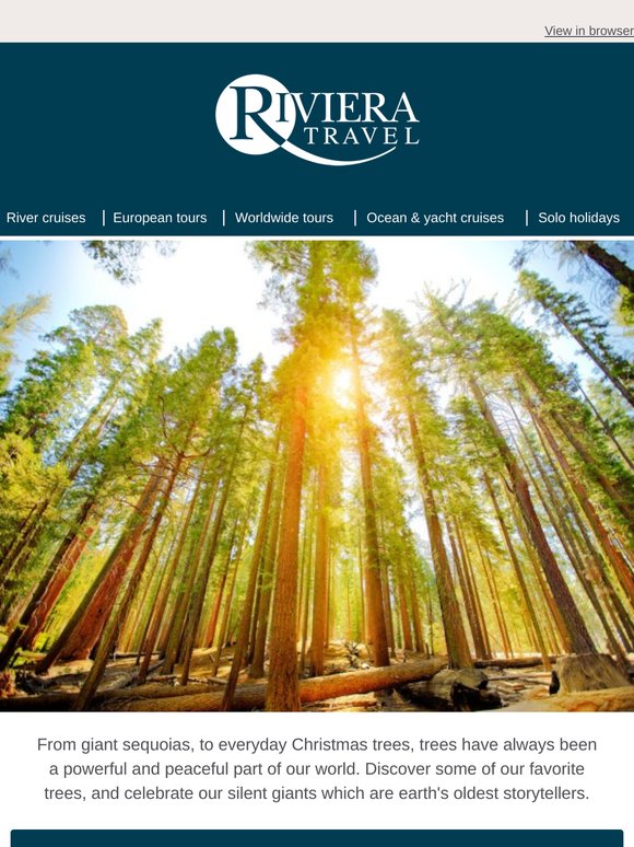 Discover our Tree-mendous holidays