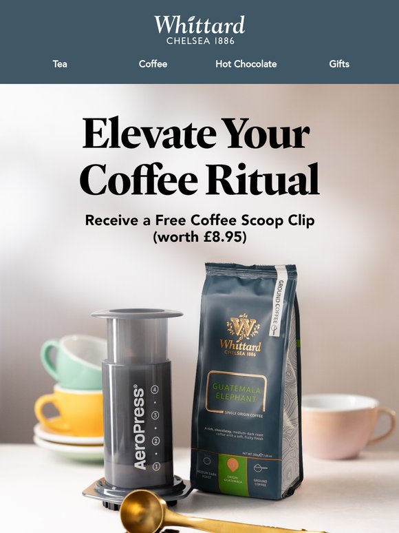 Free Gift With Our AeroPress Kit