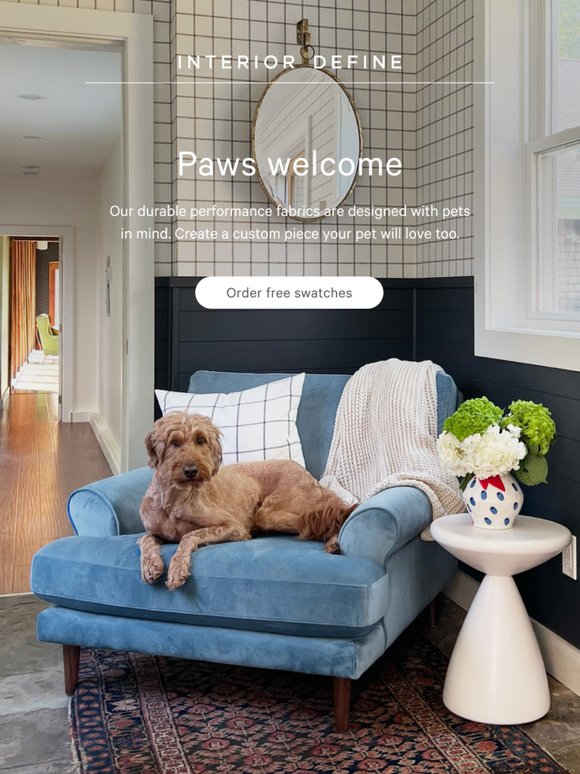 Pet-Approved Furniture We ❤️
