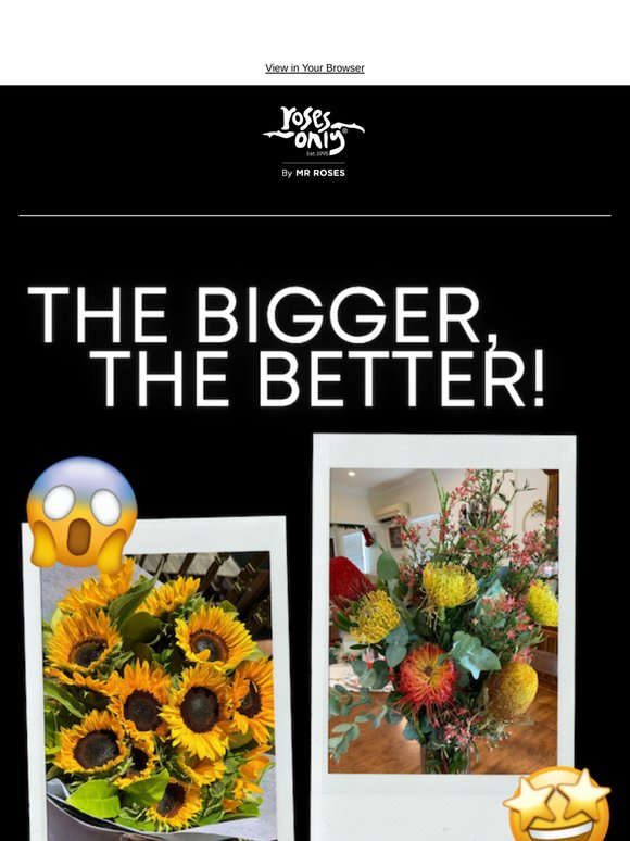 The Bigger, The Better
