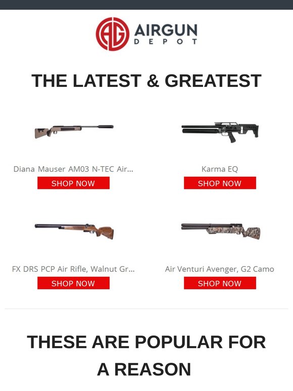 New Airgun Expert Picks