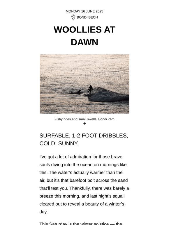 : : Woollies at Dawn